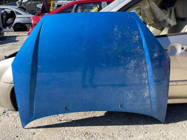 Ford Focus Front Hood